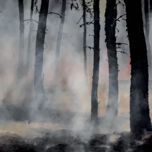 Le monde se dirige vers un réchauffement de +3.1°C