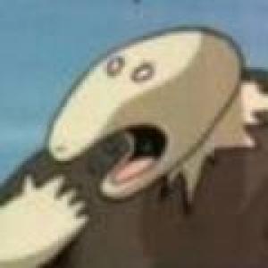 Nathanaël (@roipoussiere@mastodon.tetaneutral.net)