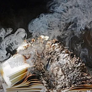 La nouvelle #solarpunk du jour : « 100 Papier »
