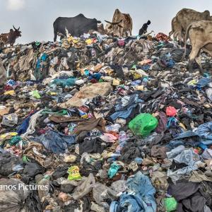 How to stop cities and companies causing planetary harm