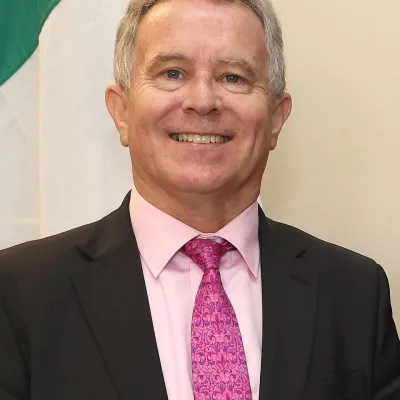 Seán Fleming — Wikipédia