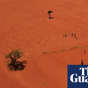 Humanity is on the verge of ‘shattering Earth’s natural limits’, say experts in biodiversity warning