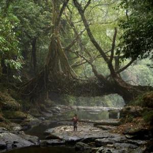 Our Time on Earth | Barbican