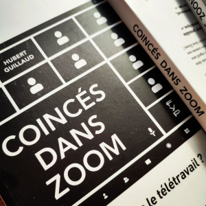 Coincés dans Zoom, le livre