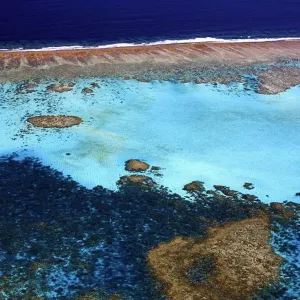 Les récifs coralliens ont franchi un "point de basculement" climatique