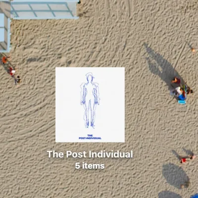 The Dark Forest and the Post-Individual