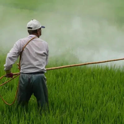 Enquête : la famille Sander au cœur du lobby agricole industriel