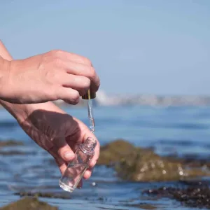 Les îles de la Méditerranée, laboratoires de la résilience