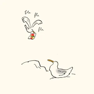 Les goélands sont l’avenir de l’homme