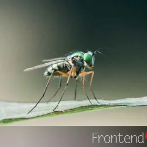 How to Fix Any Bug