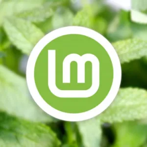 Linux Mint 21.3 Edge ISO Offers Newer Hardware Support