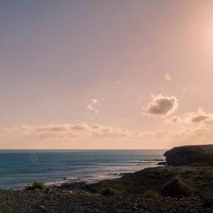 «J'ai compris que c'était urgent» : comment la canicule a entraîné une prise de conscience écologique