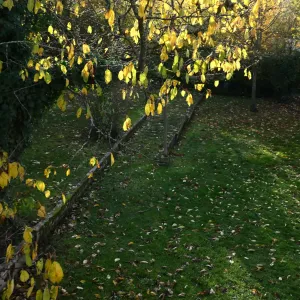 QSPTAG #297 — 16 novembre 2023