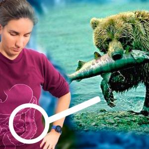 C'est la loi de la jungle dans la flore intestinale !