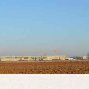 À Altorf, les haies disparaissent des champs et les oiseaux avec