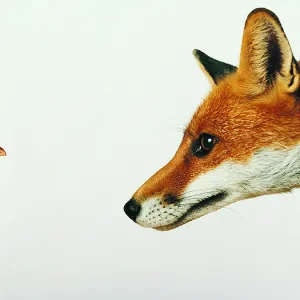 Make Your Meetings a Safe Space for Honest Conversation