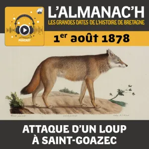 1er août 1878 - Attaque d'un loup à Saint-Goazec