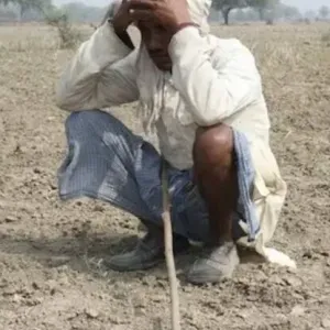 Quand on évoque les morts dus au réchauffement climatique... par Jean-Marc Jancovici