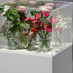 « Pollen », l’expo bordelaise qui transforme le musée en écosystème vivant