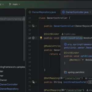 IntelliJ IDEA adopte Wayland : l’ère X11 touche à sa fin sur Linux