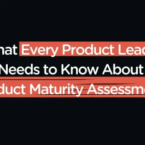 My (Highly Opinionated) Guide to Product Maturity Assessment — Petra Wille