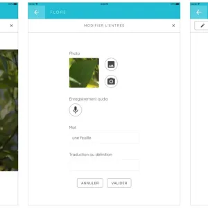 Leximage et Leximage+ : Créer un dictionnaire personnalisé pour enrichir le vocabulaire en classe