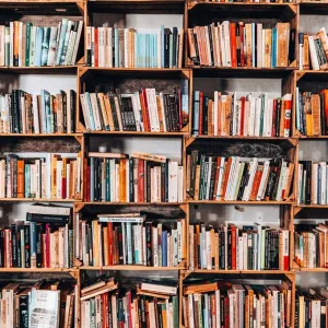 Les "communs" : une alternative au capitalisme numérique ?