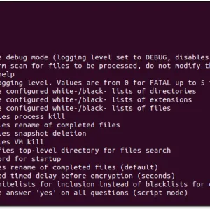 Agenda, le ransomware qui exécute des binaires Linux sous Windows