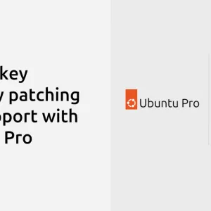 Get Valkey security patching and support with Ubuntu Pro