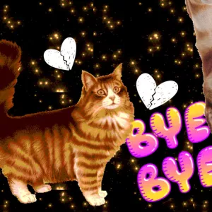 La génération Skyblog dit adieu à l’ado des réseaux