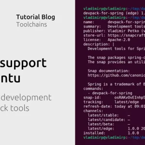 Ubuntu adopte Spring : tout ce qui change pour vous