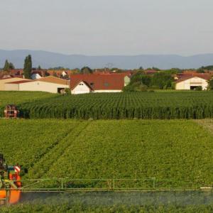 Environnement. Pour la première fois, l'usage des pesticides recule en Alsace