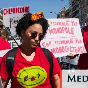 Les militants décoloniaux pressent le mouvement écologiste à se défaire de ses biais racistes