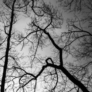 Valérie Pichon, disparue, enterrée sous X