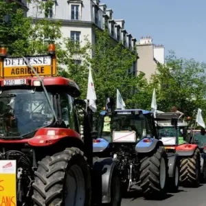 « Il avait peur de ne pas y arriver » : pourquoi tant d'agriculteurs se suicident-ils ?