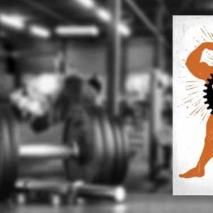 Fabriquer du muscle dans un monde incertain