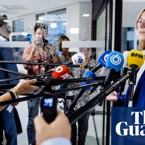 Online vitriol could undo decades of political progress, warns Dutch deputy PM