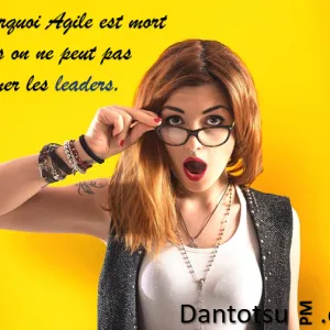 Pourquoi Agile est-il mort ? par Britt Smith