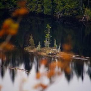 Photos & vidéos — David Larlet