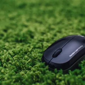 Les langages de programmation les plus écologiques