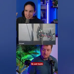 Les fourmis sont très fortes en puzzles 🧩