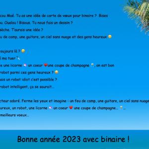 Bonne année 2023 avec binaire