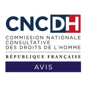 Intelligence artificielle : quelles « lignes rouges » pour prévenir les risques d’atteintes aux droits fondamentaux ?