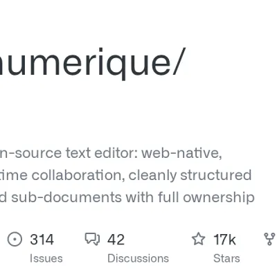 GitHub - suitenumerique/docs: Docs is an open-source text editor: web-native, made for real-time collaboration, cleanly structured documents and sub-documents with full ownership of your data. Built to scale with Django and React.