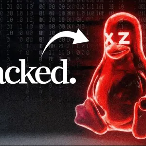 The Internet Was Weeks Away From Disaster and No One Knew