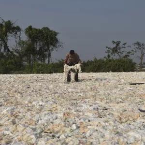 Laine recyclée, tu es la seule qui mailles