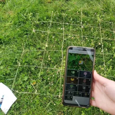 SVT : tout savoir sur l’appli PlantNet