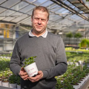 Les mains dans la terre