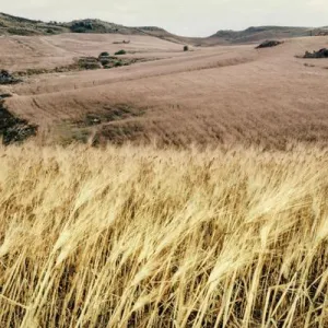 Climat : l'Italie est en train de devenir une région tropicale