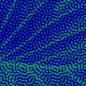 Numérique et environnement : la feuille de route du Gouvernement